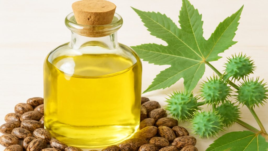 Glass of castor oil with castor beans and plant